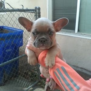 Meet your Posher, Jojo